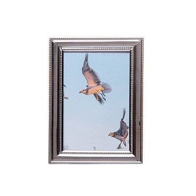 Porta-Retrato de Aço Inox Balls Prata 10cm x 15cm - Wolff