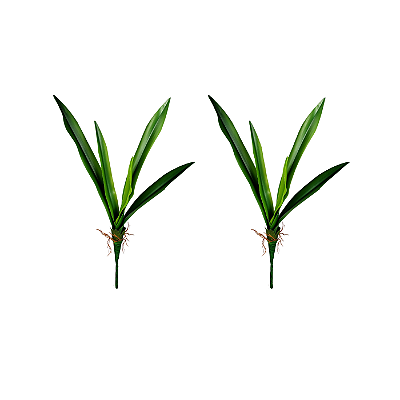 Conjunto 2 Hastes Folha Orquidea 50cm - BMQ