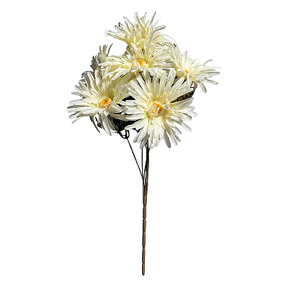 Buquê Margarida Branca X7 - BMQ