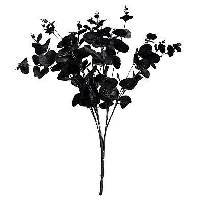 Buquê Eucalipto Preto 48cm - BMQ