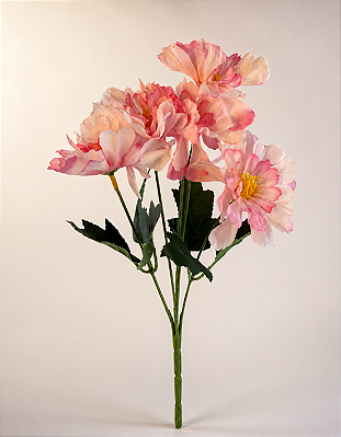 Buquê De Dália Rosa X5 Para Arranjos Decorativos