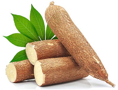 Mandioca