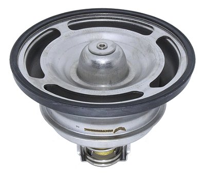 VALVULA TERMOSTATICA FH D13 IMPORTADA (21613426)