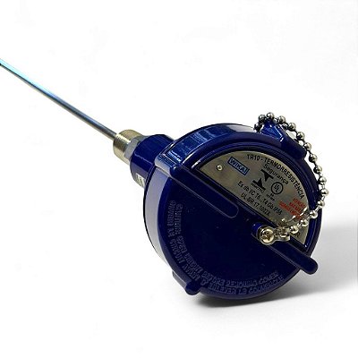 Termorresistencia Pt100 TR10 Wika Haste 350mm 1/2 Npt