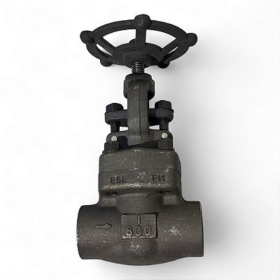 Corpo Válvula Globo CL 800 Aço SLC - LW210304402-6