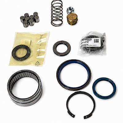 KIT DE REPARO PARA MOTOR DE PARTIDA WARTSILA F26 F30 WN25/SG