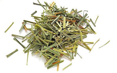 Capim cidreira limão