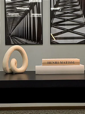 Livro Caixa em MDF Decorativo Estilo Matisse Kit com 2 Peças