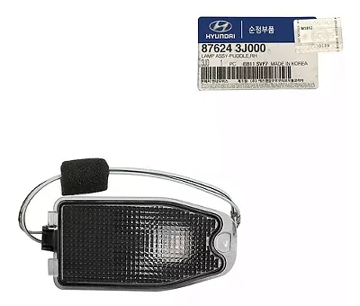 Pisca Inferior Retrovisor Direito Hyundai Veracruz 06/12