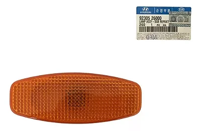 Pisca Porta Dianteira Hyundai Hr 2003/2020