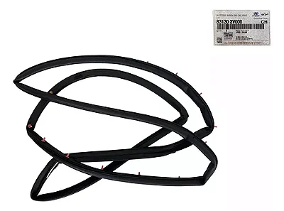 Borracha Porta Traseira Lado Esquerdo Hyundai Azera 12/16