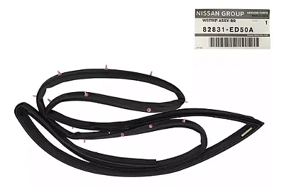 Borracha Porta Traseira Esquerda Nissan Tiida 2007/12