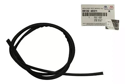 Borracha Parabrisa Kia Bongo K2500 2004 A 2021