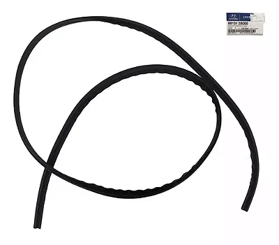 Borracha Guarnição Parabrisa Hyundai Santa Fe 2006 A 2012