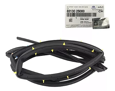 Borracha Externa Porta Traseira Esquerda Ix35 2009 A 2020