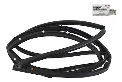 Borracha Externa Porta Dianteira Esquerda Hyundai Ix35 09/20