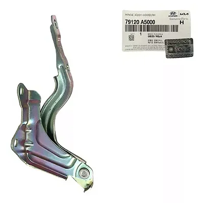 Dobradiça Capo Lado Direito Hyundai I30 2013/17