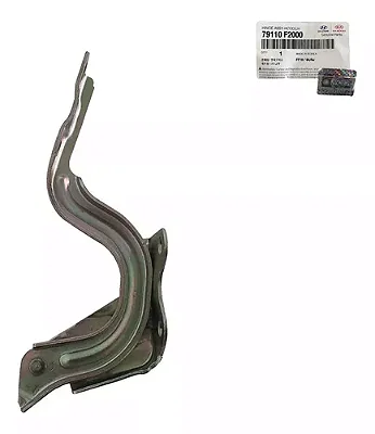 Dobradiça Capo Lado Esquerdo Hyundai Elantra 2010 A 2013