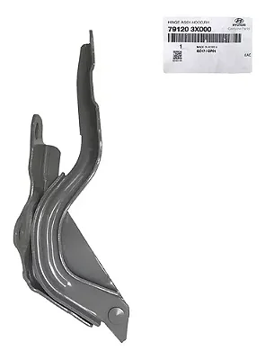 Dobradiça Capo Lado Direito Hyundai Elantra 2010 A 2013