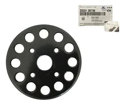 Polia Bomba D'agua Hyundai Santa Fe 2009/2012