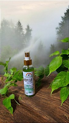 Body spray energize-se