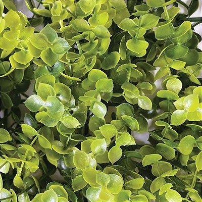 PLACA DE GRAMA EUCALIPTO 40X60CM