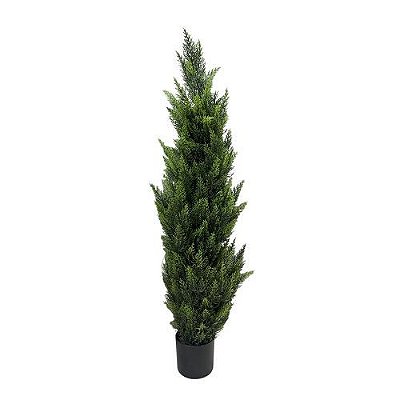 PLANTA CIPRESTE 120CM