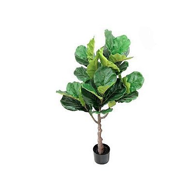 ARVORE FICUS LYRATA PREMIUM 1.10M
