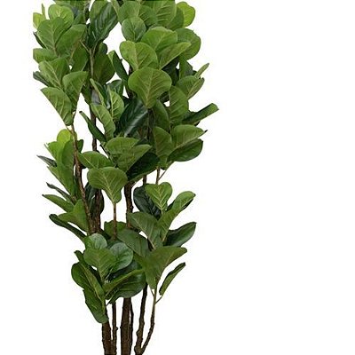 ARVORE FICUS LYRATA TOQUE REAL PREMIUM 1.90M