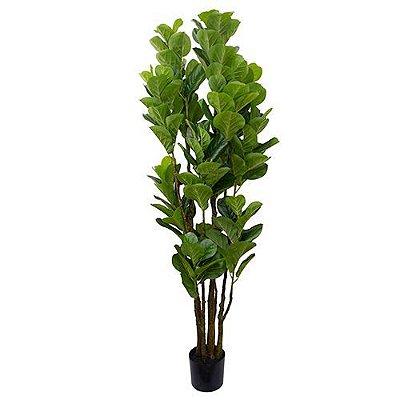 ARVORE FICUS LYRATA TOQUE REAL PREMIUM 1.90M