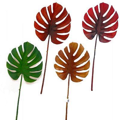 F. COSTELA DE ADAO EMB.