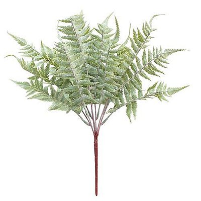 BQ. SAMAMBAIA OUTONADA