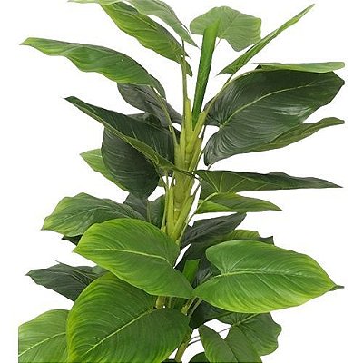 ARVORE FOLHA COPO DE LEITE 1.35M