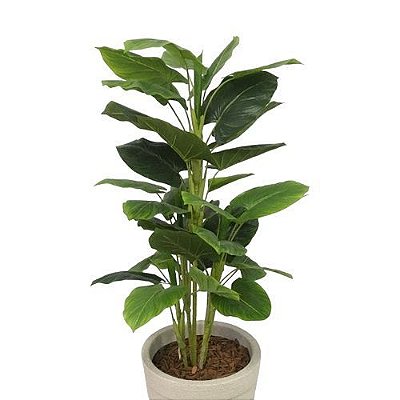 ARVORE FOLHA COPO DE LEITE 1.35M