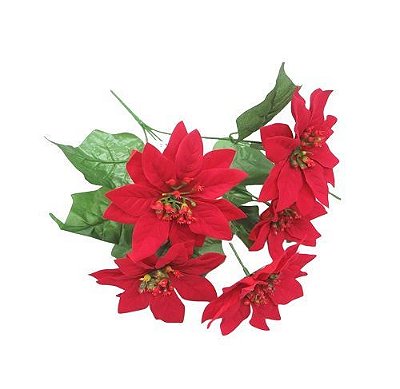 BUQUE BICO DE PAPAGAIO X5 40CM