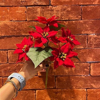 BICO DE PAPAGAIO 30CM