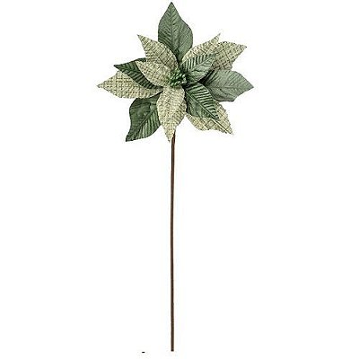 POINSETTIA ESMERALDA 60CM