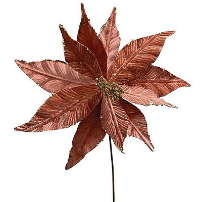 HASTE POINSETTIA ROSE