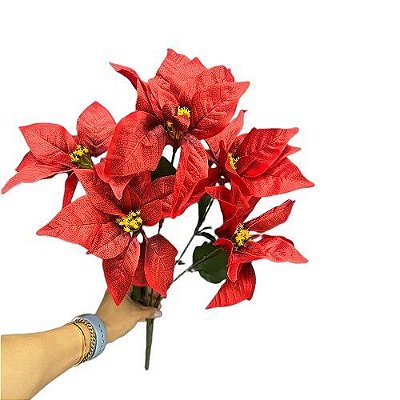 BUQUE BICO DE PAPAGAIO X5