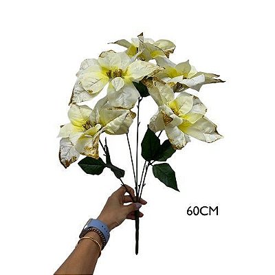 BUQUE BICO DE PAPAGAIO X5 50CM