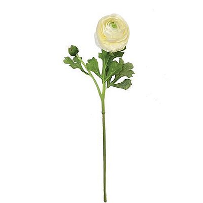 HASTE RANUNCULUS COM BOTAO PREMIUM 55CM