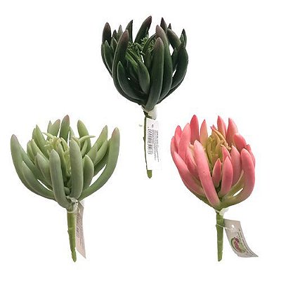 SUCULENTA 15CM