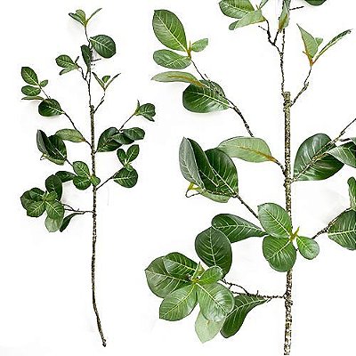 GALHO COTINUS X6 73CM VERDE