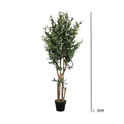 ARVORE OLIVEIRA PREMIUM ALT 1.5 M