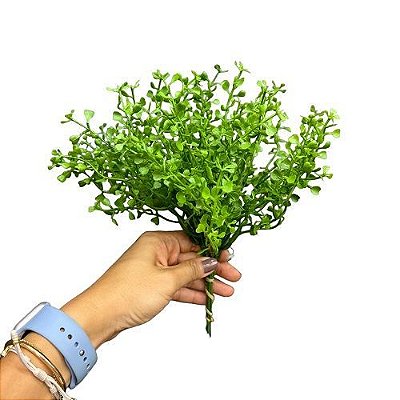 PICK MINI EUCALIPTO DISCHIDIA PREMIUM X6 25CM