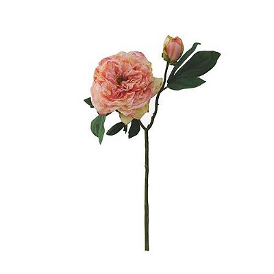 HASTE PEONIA PREMIUM 52CM