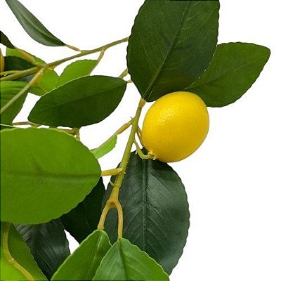 HASTE DE LIMAO SICILIANO COM FOLHAS 50CM