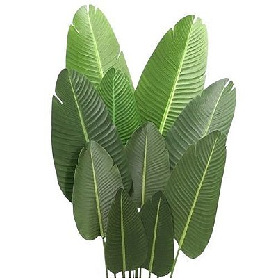 ARVORE DE BANANEIRA 1.6M