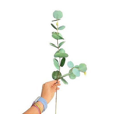 HASTE EUCALIPTO 3D TOQUE REAL 75 CM