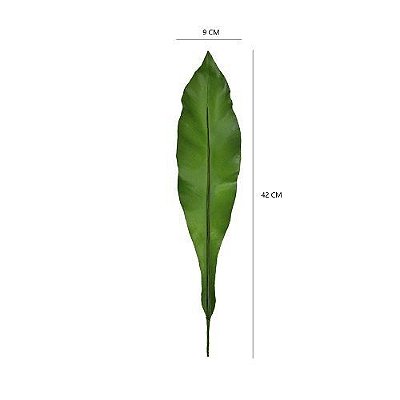 FOLHAGEM ASPLENIO TOQUE NATURAL 42X9 PREMIUM
